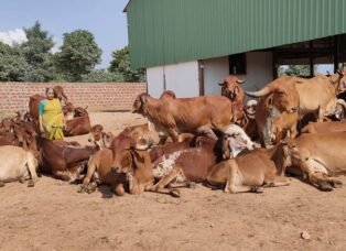 6795-1716891828206-WhatsApp Image 2024-05-28 at 3.46.11 PM (1)